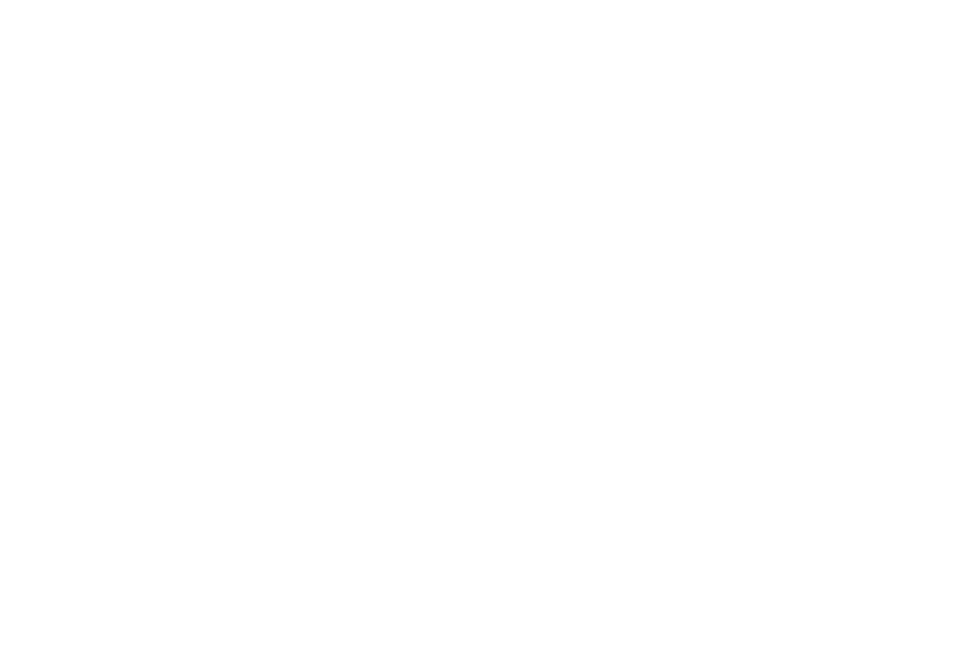 WebFino Logo